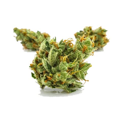 xhqtze|Lemon OG Haze Marijuana Strain Information & Reviews .